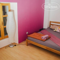 The Wild Fig Hostel