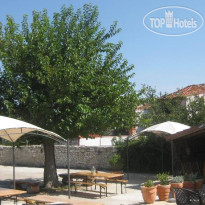 The Wild Fig Hostel