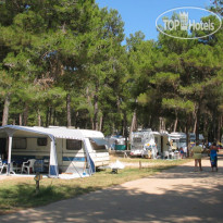 Zaton Holiday Village