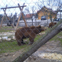 Mazarekic House