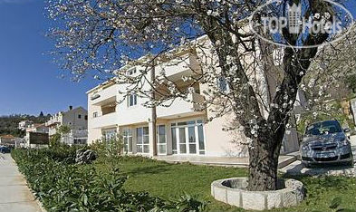 Hotel photo Apartments Palma 4*