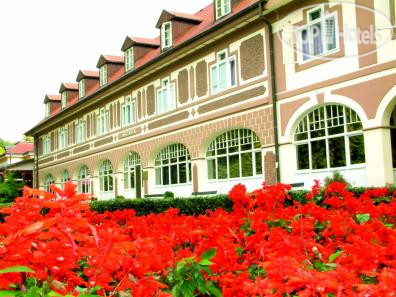 Hotel photo Arcadia 3*