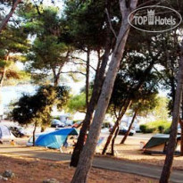 Arena Indije Mobile Homes 