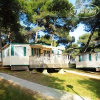 Arena Indije Mobile Homes 