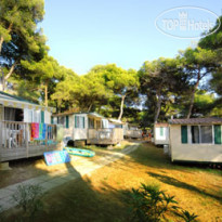 Arena Indije Mobile Homes 