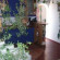 Photos Villa Kulic