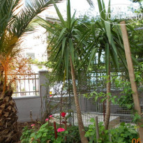 Todorovic Budva Villa 