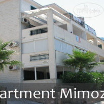 Mimoza 