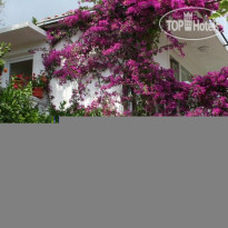 Villa Irena 