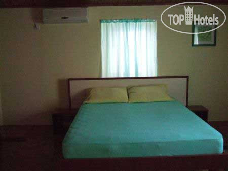 New photos from tourists Villa Tanovic 4*