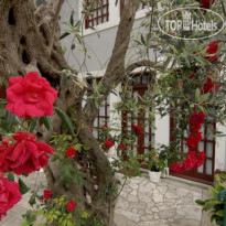 Casa di Oliveto 