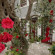 Casa di Oliveto 