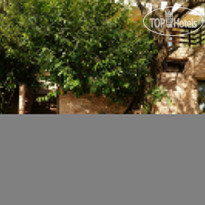 Villa Lilia