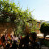Villa Lilia 