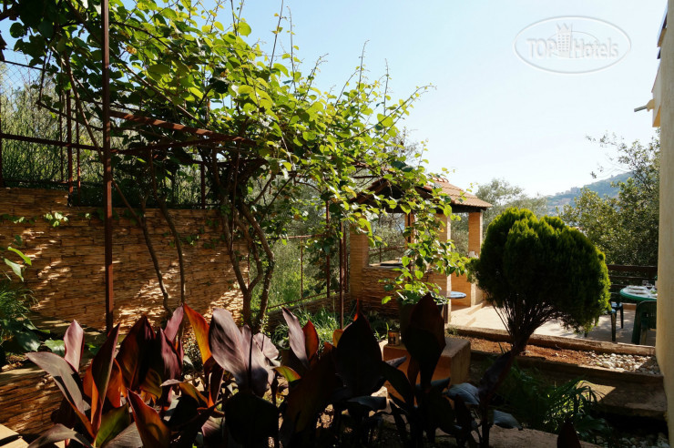 Hotelier's photos Villa Lilia