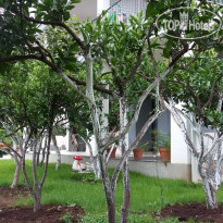 Guest House Djonovic 