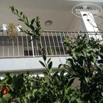 Guest House Djonovic 