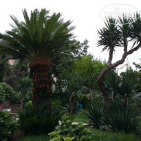 Guest House Djonovic 