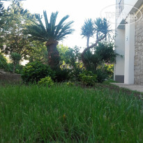 Guest House Djonovic 