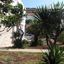 Guest House Djonovic 