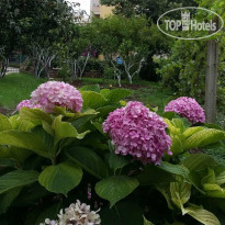 Guest House Djonovic 