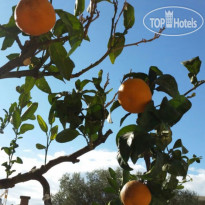 Guest House Djonovic 