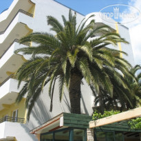 Villa Tri Palme