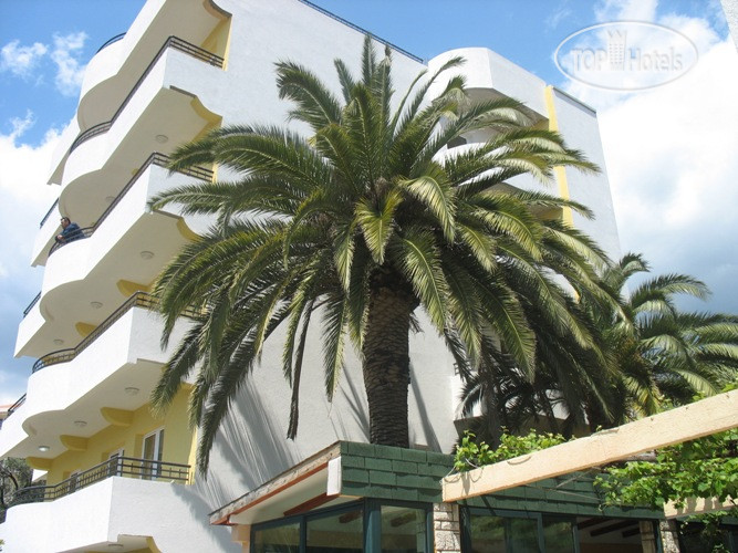 New photos from tourists Villa Tri Palme 3*