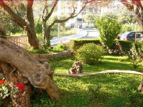 New photos from tourists Petrovic Apartment 3*