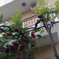 Apartments Vila Andjela 