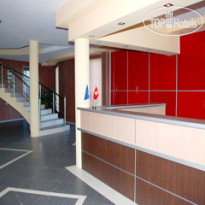 Lion villa