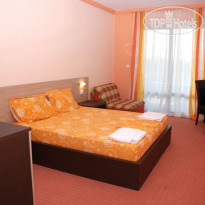 Lion villa