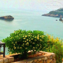 Villa Bushatu