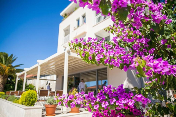 Hotel photo Casa del Mare - Blanche 4*
