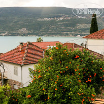 Apartments Pax Herceg Novi