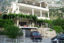 Dakovic APT