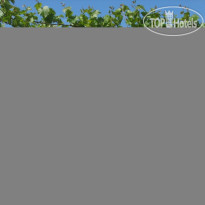 Villa Vida 