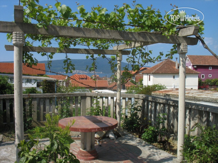 Hotelier's photos Villa Vida 3*