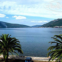 Markovic Tiv (закрыт) 