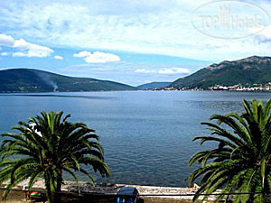 Markovic Tiv (закрыт)