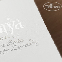 Ziya