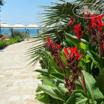Kuce Lekovica Apart-Hotel