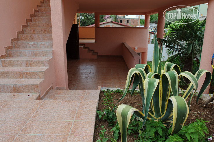 New photos from tourists Vila Montenegro 3*