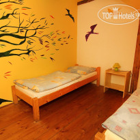 Travel Hostel