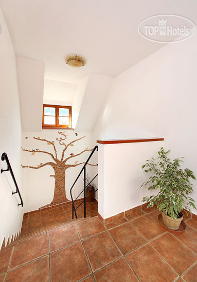 New photos from tourists Kriz Penzion 3*