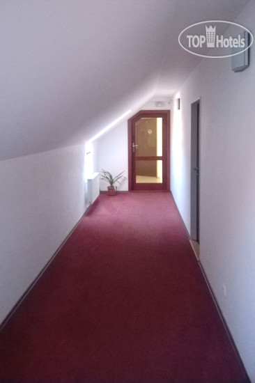 New photos from tourists Svejk Restaurant & Pension 3*