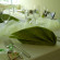 Linden Restaurant & Pension 