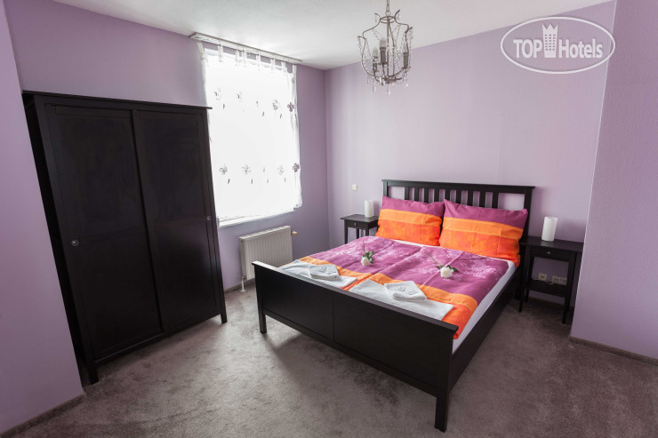 Hotel photo Dvorakova Penzion  3*