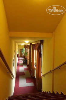 New photos from tourists Satyam Pension 3*