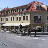 Zavis z Falkenstejna